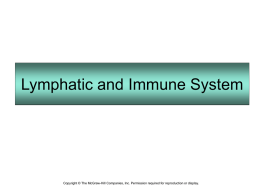 Lymphatic and Immune System  Copyright © The McGraw-Hill Companies, Inc. Permission required for reproduction or display.
