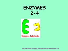 ENZYMES 2-4  http://www.biologie.uni-hamburg.de/b-online/library/cat-removed/enzyme_.gif Chemical reactions need help to get started. Ex: A fire needs a match to get it started.  http://www.chuckwagondiner.com/art/matches.jpg http://plato.acadiau.ca/COURSES/comm/g5/Fire_Animation.gif.