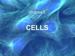 Chapter 3  CELLS How we study cells • Light Microscopes • Electron Microscopes.