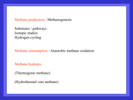Methane production - Methanogenesis Substrates / pathways Isotopic studies Hydrogen cycling  Methane consumption - Anaerobic methane oxidation  Methane hydrates (Thermogenic methane) (Hydrothermal vent methane)