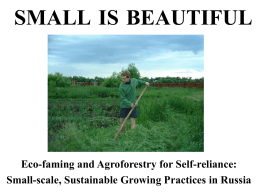 SMALL IS BEAUTIFUL  Eco-faming and Agroforestry for Self-reliance: Small-scale, Sustainable Growing Practices in Russia.