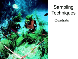 Sampling Techniques Quadrats Sampling • The best way to get information about a particular ecosystem would be to count every individual of every species • This.