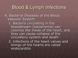 Blood & Lymph Infections A. Bacterial Diseases of the Blood Vascular System 1.