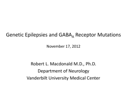 Genetic Epilepsies and GABAA Receptor Mutations November 17, 2012  Robert L. Macdonald M.D., Ph.D. Department of Neurology Vanderbilt University Medical Center.