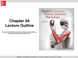Chapter 04 Lecture Outline See separate PowerPoint slides for all figures and tables preinserted into PowerPoint without notes.  Copyright © The McGraw-Hill Companies,