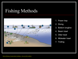 Fishing Methods 1. Prawn trap 2. Diving 3. Bottom longline  4. Beam trawl 5. Otter trawl 6.