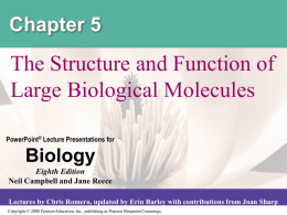 Chapter 5  The Structure and Function of Large Biological Molecules PowerPoint® Lecture Presentations for  Biology Eighth Edition Neil Campbell and Jane Reece Lectures by Chris Romero, updated.