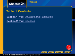 Chapter 24  Viruses  Table of Contents Section 1 Viral Structure and Replication Section 2 Viral Diseases.
