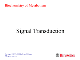 Biochemistry of Metabolism  Signal Transduction  Copyright © 1999-2008 by Joyce J. Diwan. All rights reserved.