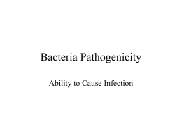 Bacteria Pathogenicity Ability to Cause Infection Infectious Diseases • • • •  Encounter-bug meets host (reservoir) Bug adheres to host Entry-bug enters host Multiplication- bug multiplies in host –