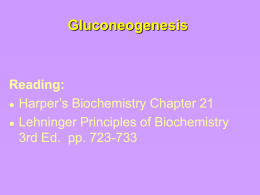 Gluconeogenesis  Reading:  Harper’s Biochemistry Chapter 21  Lehninger Principles of Biochemistry 3rd Ed.