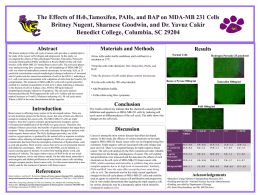 The Effects of H202,Tamoxifen, PAHs, and BAP on MDA-MB 231 Cells Britney Nugent, Sharnese Goodwin, and Dr.