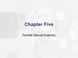 Chapter Five Female Sexual Anatomy Agenda  Discuss Female Sexual & Reproductive System  Describe Female Maturation Cycle  Discuss Female Reproductive and Sexual Health.
