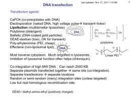 DNA transfection  Last updated: Nov. 21, 2011 1:10 AM  Transfection agents: CaPO4 (co-precipitates with DNA) Electroporation (naked DNA, high voltage pulse transient holes) Lipofection (multilamellar.