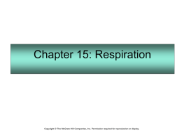 Chapter 15: Respiration  Copyright © The McGraw-Hill Companies, Inc. Permission required for reproduction or display.