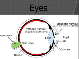 Eyes Key Concept: When light from an object enters your eye, your eye sends a signal to your brain and you see the.