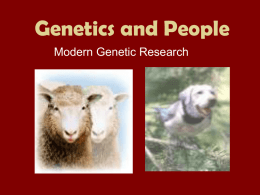Genetics and People Modern Genetic Research Mutations • Mutation: change in DNA – Mutations in body cells effect present organism, but CAN NOT BE.