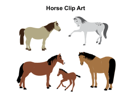 Horse Clip Art Use of templates You are free to use these templates for your personal and business presentations. We have put a.