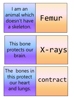 I am an animal which doesn’t have a skeleton.  Femur  This bone protects our brain.  X-rays  The bones in this protect our heart and lungs.  contract.