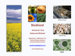 Yellow Grease  Biodiesel America’s first Advanced Biofuel Animal Fats  Raymond J. Albrecht, P.E. Technical Representative National Biodiesel Board rayalbrechtpe@gmail.com www.biodiesel.org  Algae.