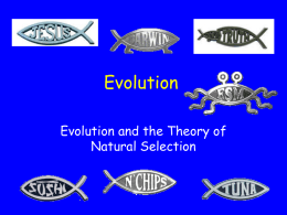 Evolution Evolution and the Theory of Natural Selection What is Evolution? The change in gene frequencies in a population over time.