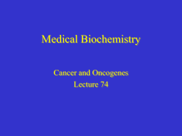 Medical Biochemistry Cancer and Oncogenes Lecture 74 Properties of cancer cells • Diminished or unrestrained control of growth – benign tumors also show diminished.