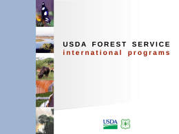 USDA FOREST SERVICE international programs A LOOK AT THE STRUCTURE OF THE FOREST SERVICE.