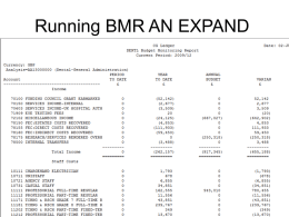 Running BMR AN EXPAND report Running BMR AN EXPAND report is designed to print one report This analysis code on each page for distribution within.