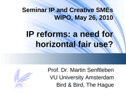 Seminar IP and Creative SMEs WIPO, May 26, 2010  IP reforms: a need for horizontal fair use? Prof.