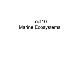 Lect10 Marine Ecosystems Lect07 Marine Ecosystems • • • •  Estuaries Marine Shores Shallow Marine Waters Oceans Estuaries • An estuary is a transition area between river and sea • Barrier to.