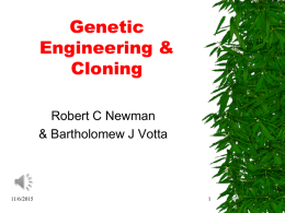 Genetic Engineering & Cloning Robert C Newman & Bartholomew J Votta  11/6/2015 What is Genetic Engineering? "Genetic engineering is the technology for modifying the genetic information in a plant,