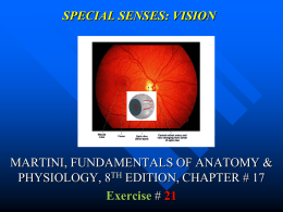 SPECIAL SENSES: VISION  MARTINI, FUNDAMENTALS OF ANATOMY & PHYSIOLOGY, 8TH EDITION, CHAPTER # 17 Exercise # 21