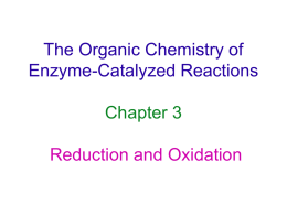 The Organic Chemistry of Enzyme-Catalyzed Reactions  Chapter 3 Reduction and Oxidation Redox Without a Coenzyme Internal redox reaction.