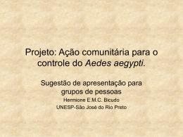 Projeto: Ação comunitária para o controle do Aedes aegypti. Sugestão de apresentação para grupos de pessoas Hermione E.M.C.