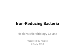 Iron-Reducing Bacteria Hopkins Microbiology Course Presented by Ying Lei 22 July 2010 Reduction Process 1.