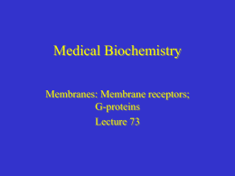 Medical Biochemistry Membranes: Membrane receptors; G-proteins Lecture 73 Hormone Receptors • All receptors have at least two functional domains – Recognition domain binds hormone – Second.