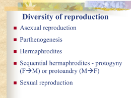Diversity of reproduction   Asexual reproduction    Parthenogenesis    Hermaphrodites    Sequential hermaphrodites - protogyny (FM) or protoandry (MF)    Sexual reproduction.