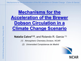 CCSM Working Group Meeting, February 2008  Mechanisms for the Acceleration of the BD circulation in Climate Change (Calvo & Garcia)  Mechanisms for.