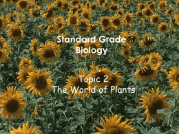 Standard Grade Biology Topic 2 The World of Plants World of Plants is divided into: A- Introducing plants  B- Growing plants (Pollination, Fertilisation, Asexual reproduction) C- Making food.