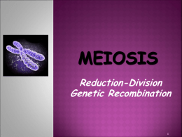 Reduction-Division Genetic Recombination  The  form of cell division by which GAMETES, with HALF the number of CHROMOSOMES, are produced.  DIPLOID (2n)  HAPLOID (n) 