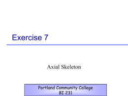 Exercise 7  Axial Skeleton  Portland Community College BI 231 Bone Landmarks • All bones possess distinctive landmarks that are designed for specific functions. • Review table 7.1