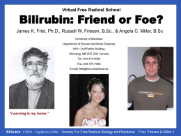 Virtual Free Radical School  Bilirubin: Friend or Foe? James K. Friel, Ph.D., Russell W.