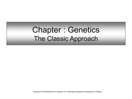 Chapter : Genetics The Classic Approach  Copyright © The McGraw-Hill Companies, Inc.