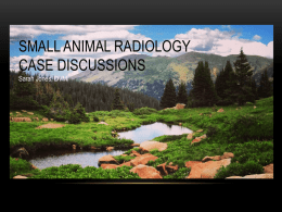 SMALL ANIMAL RADIOLOGY CASE DISCUSSIONS Sarah Jones, DVM CASE 1 • 2.5 YO FS Abbysinian • 1 day history of lethargy, fever, anorexia.