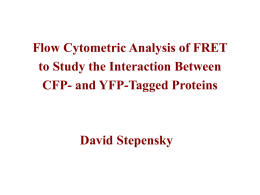 Flow Cytometric Analysis of FRET to Study the Interaction Between CFP- and YFP-Tagged Proteins  David Stepensky.