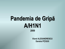 Pandemia de Gripă A/H1N1Viorel ALEXANDRESCU Daniela PIŢIGOI 11 iulie 2009 orele 18.00  Directorul General OMS, Dr.