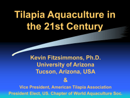Tilapia Aquaculture in the 21st Century Kevin Fitzsimmons, Ph.D. University of Arizona Tucson, Arizona, USA & Vice President, American Tilapia Association President Elect, US.