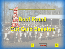 Beef Retail Cut Quiz Session Home Arm Bone  One Muscle One Muscle  Arm Bone Cavity.