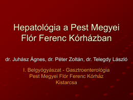 Hepatológia a Pest Megyei Flór Ferenc Kórházban dr. Juhász Ágnes, dr. Péter Zoltán, dr.