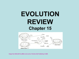EVOLUTION REVIEW Chapter 15  Image from BIOLOGY by Miller and Levine; Prentice Hall Publishing © 2006